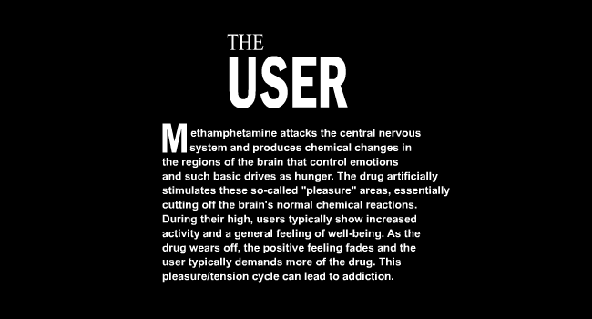 The User